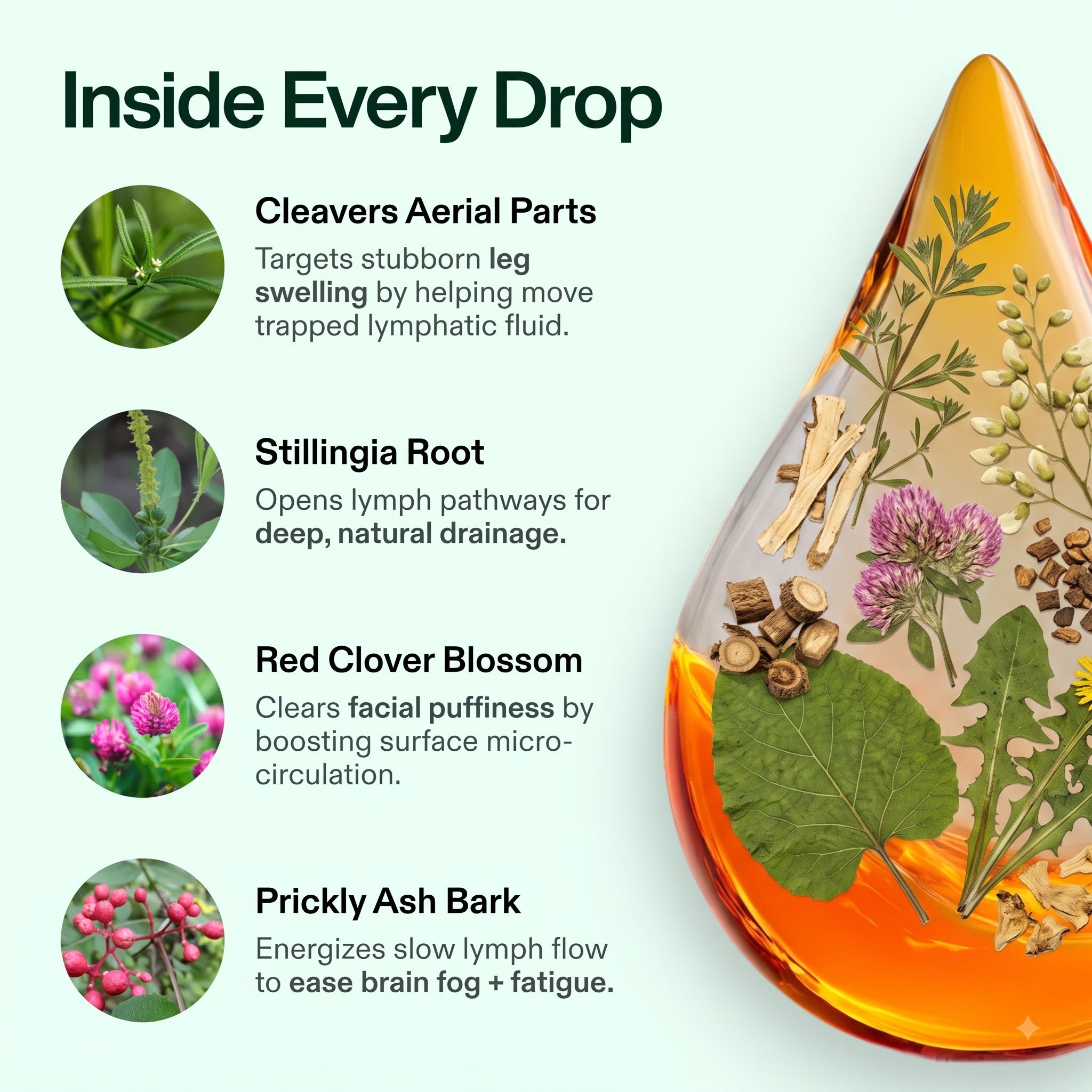 Lymphatic Drainage Drops